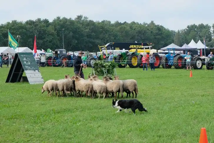 Oogstfeest Drenthe