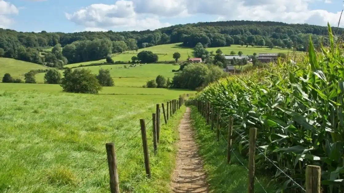 Zuid-Limburg Heuvels